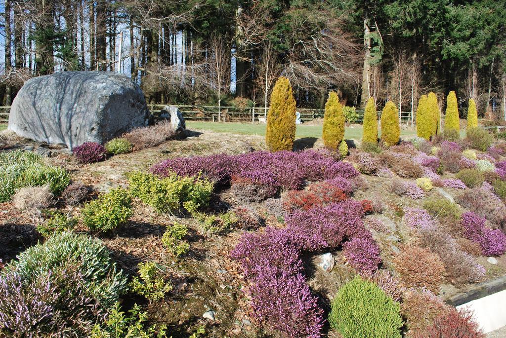 Trooperstown Lodge Laragh Exteriör bild